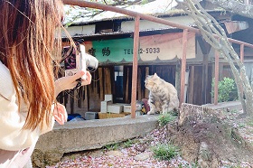 ねこ同好会1.jpg