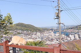ねこ同好会2.jpg